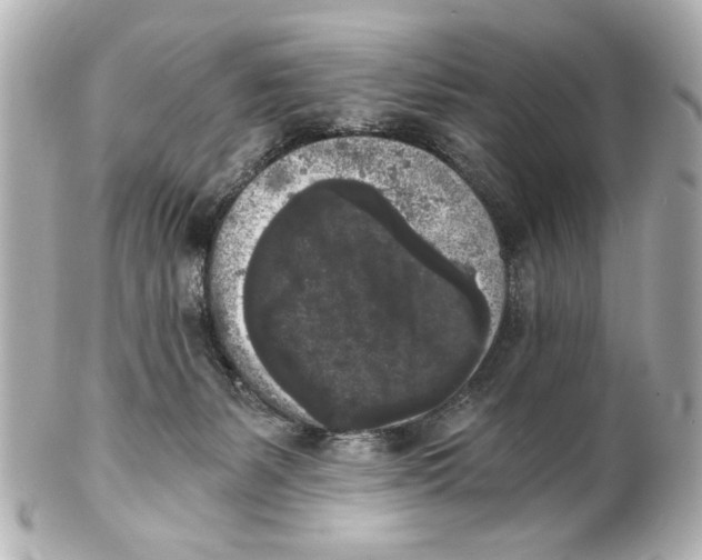 X0000101460127200808041051