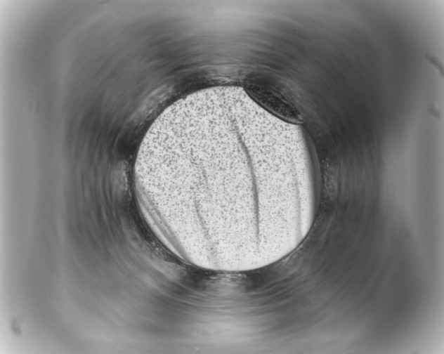 X0000101460128200808041051