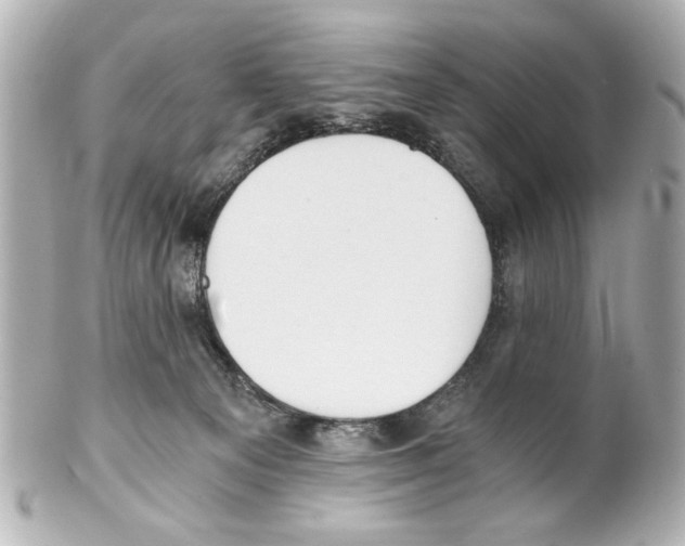X0000101460129200808041051