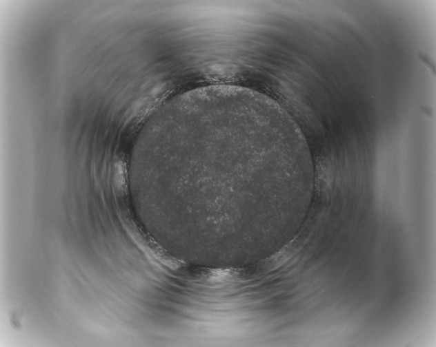 X0000101460130200808041051