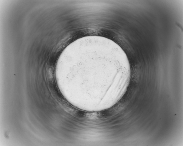 X0000101460131200808041051
