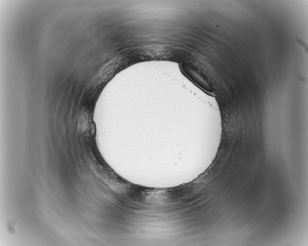 X0000101460132200808041051