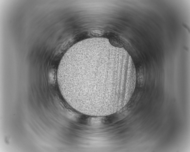X0000101460134200808041051