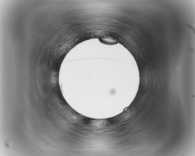X0000101460135200808041051