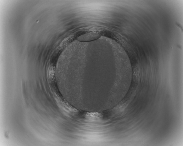 X0000101460137200808041051