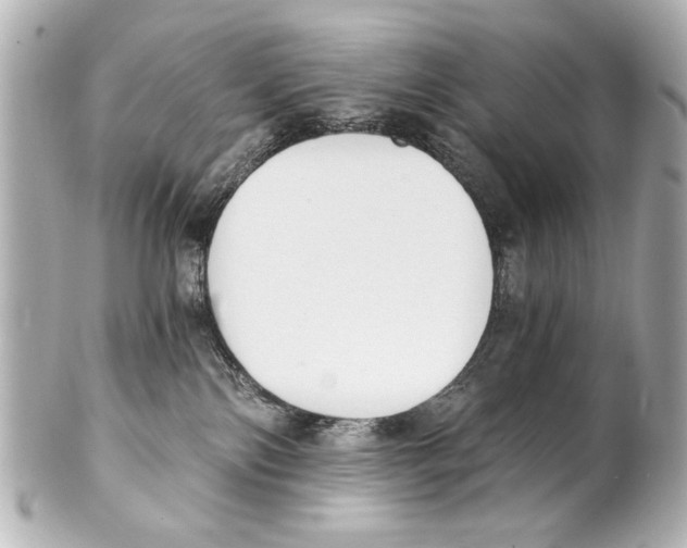 X0000101460138200808041051