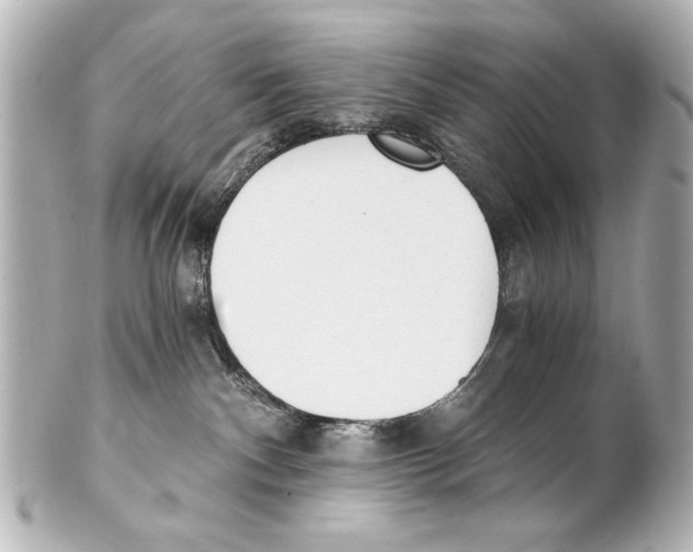 X0000101460140200808041051