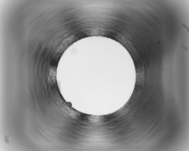 X0000101460142200808041051