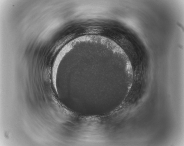 X0000101460146200808041050