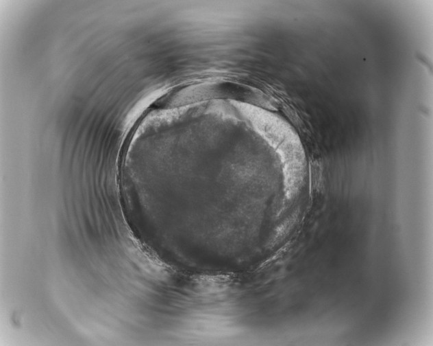 X0000101460147200808041050