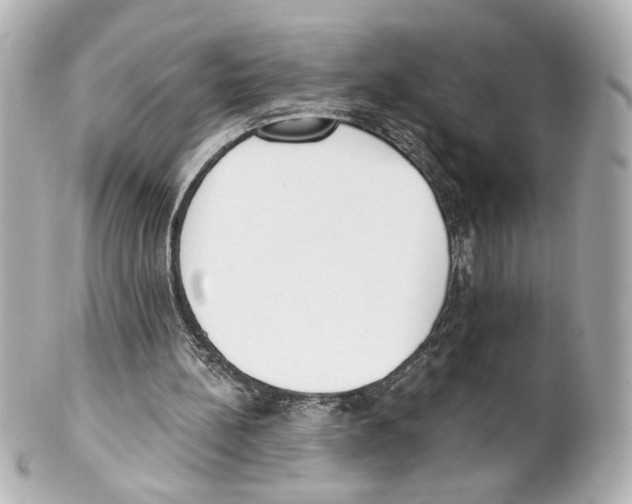 X0000101460148200808041050