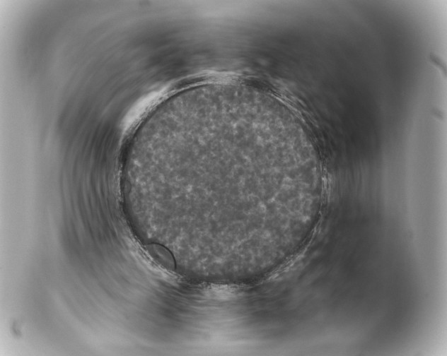 X0000101460149200808041050