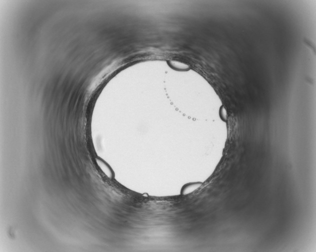 X0000101460150200808041050