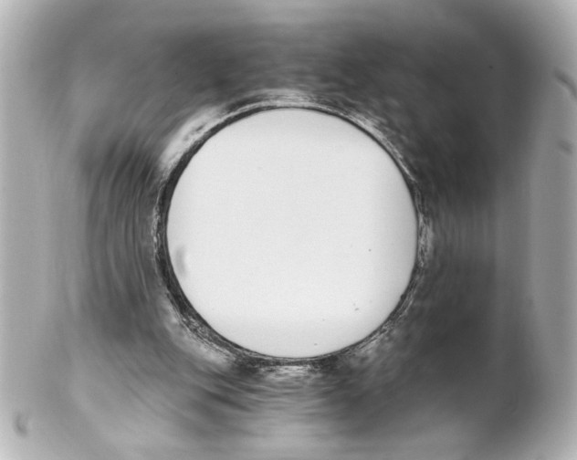 X0000101460151200808041050