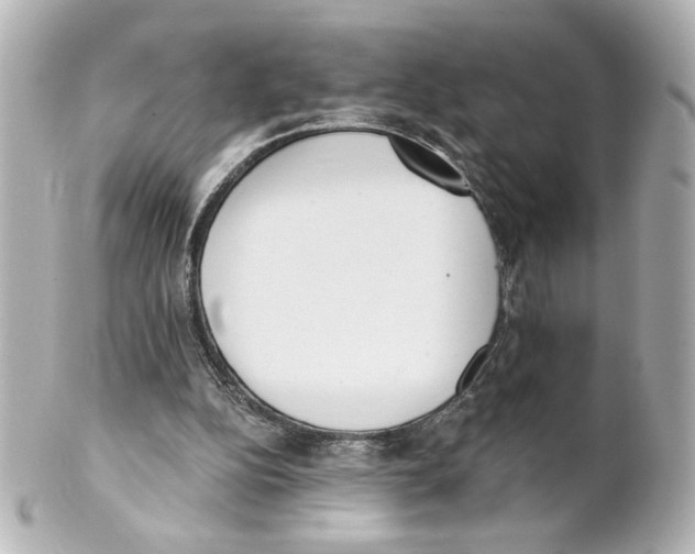 X0000101460152200808041050