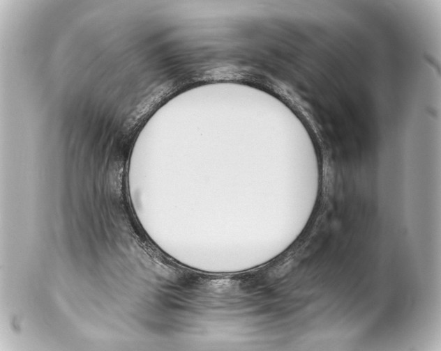 X0000101460153200808041050