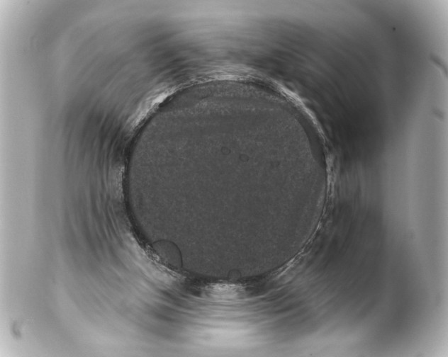 X0000101460154200808041050