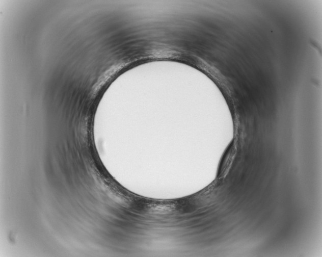 X0000101460155200808041050