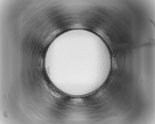 X0000101460157200808041050