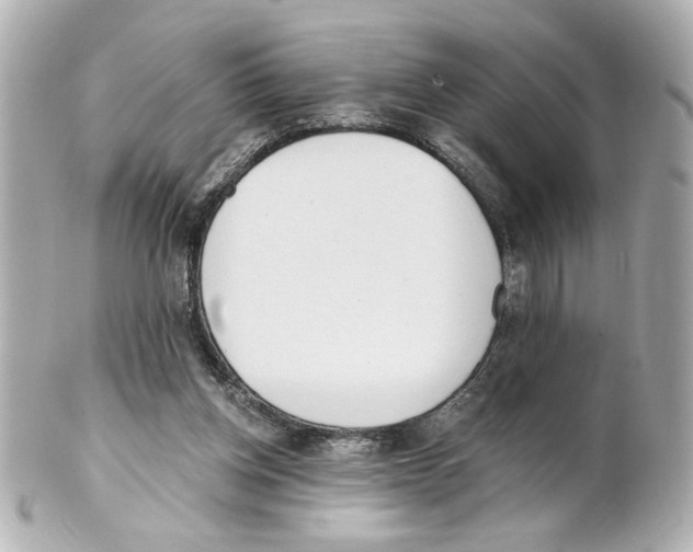 X0000101460158200808041050