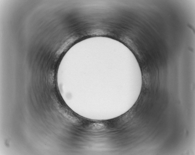 X0000101460159200808041050