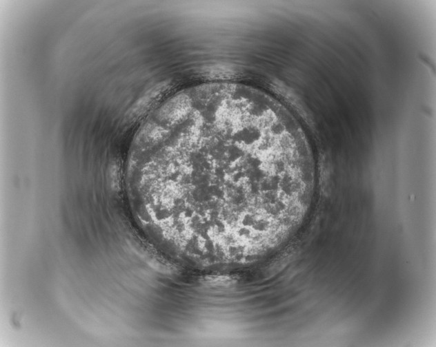 X0000101460161200808041050