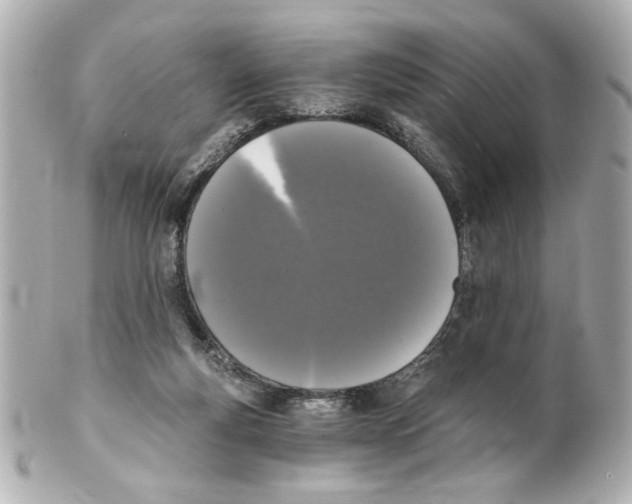 X0000101460163200808041050