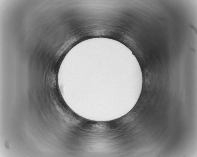 X0000101460164200808041050