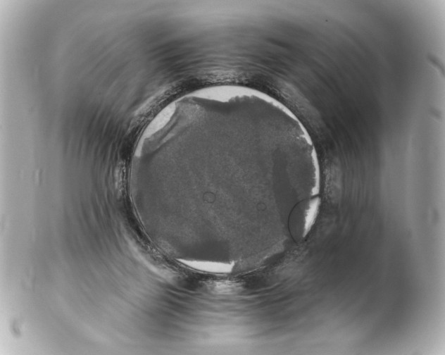 X0000101460165200808041050