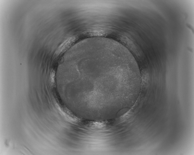 X0000101460166200808041050