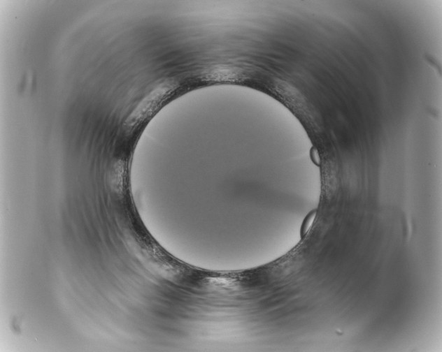 X0000101460167200808041050
