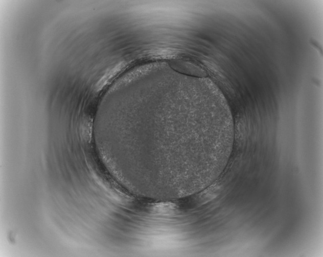 X0000101460168200808041050