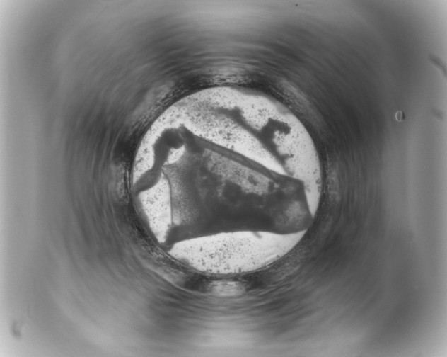 X0000101460169200808041050
