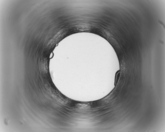 X0000101460170200808041050