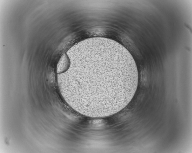 X0000101460173200808041050