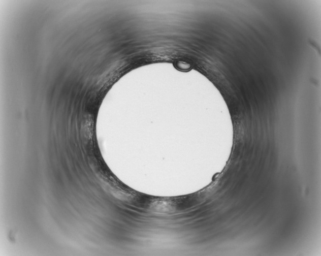 X0000101460174200808041050