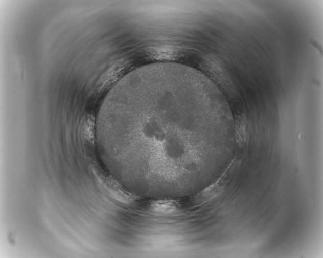X0000101460175200808041050