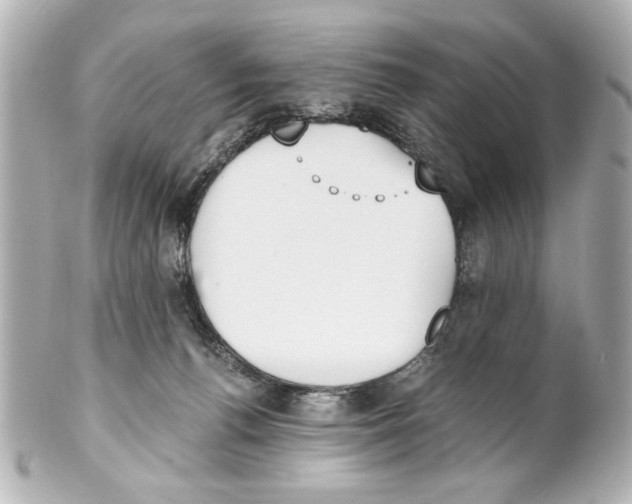 X0000101460176200808041050