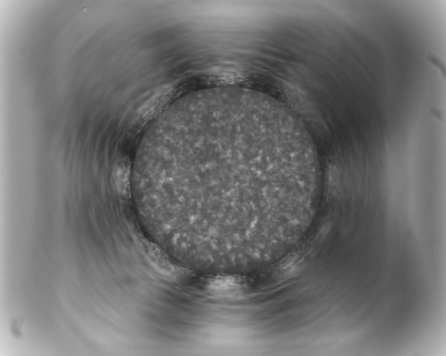 X0000101460177200808041050