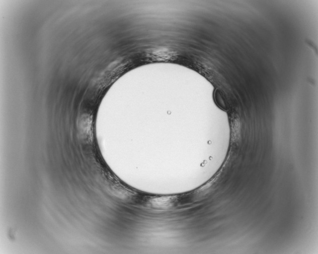 X0000101460178200808041050