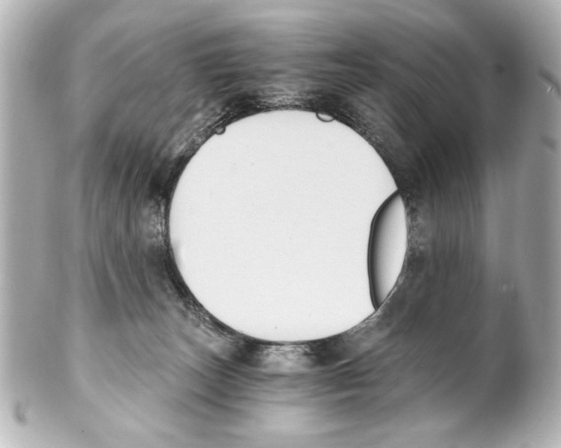 X0000101460179200808041050