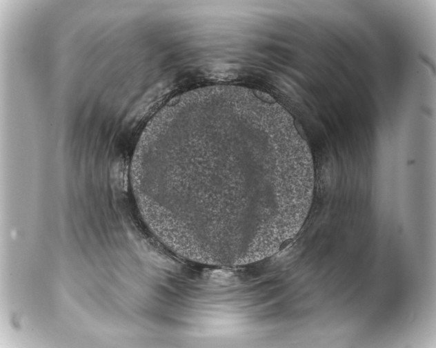 X0000101460180200808041051