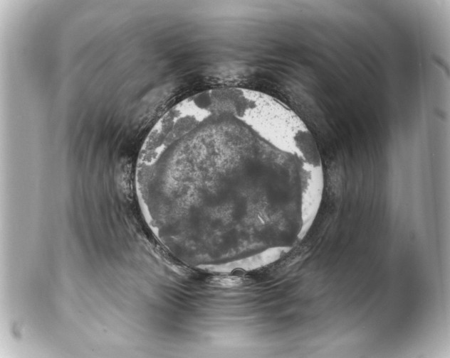 X0000101460181200808041051