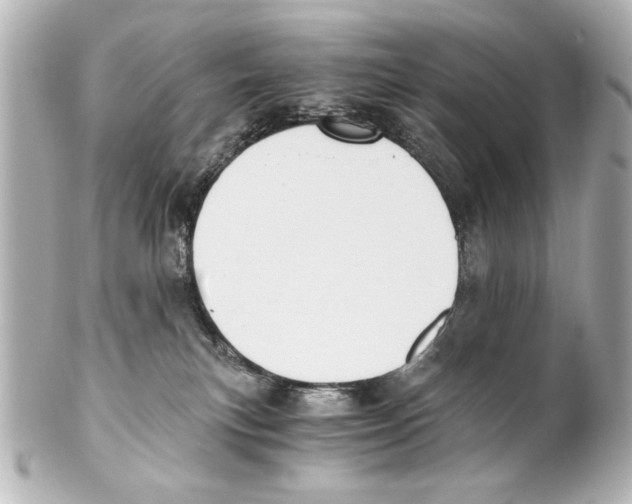 X0000101460183200808041051