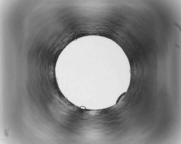 X0000101460184200808041051