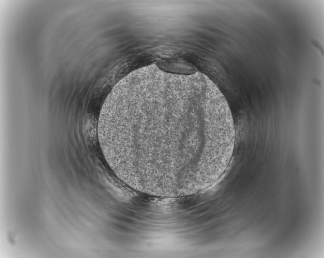 X0000101460186200808041051