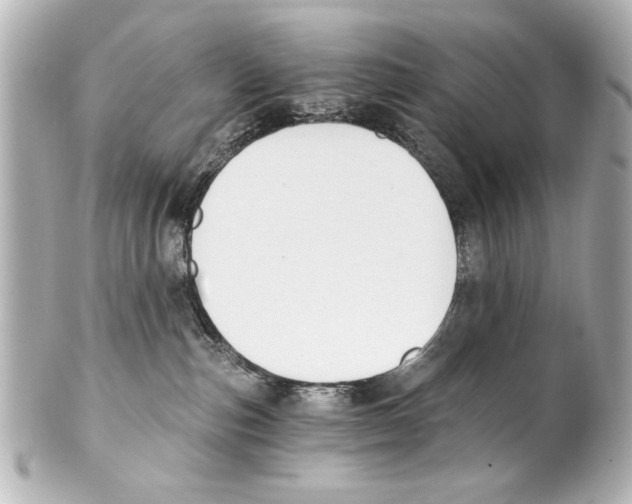 X0000101460187200808041051