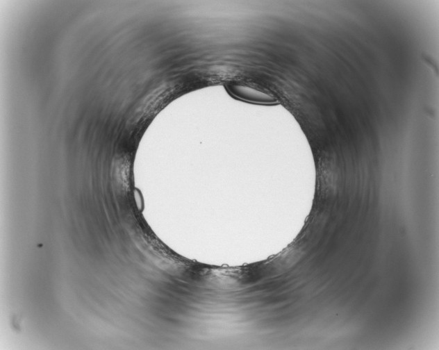 X0000101460188200808041051
