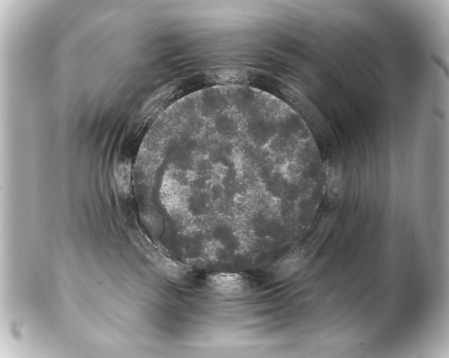 X0000101460189200808041051