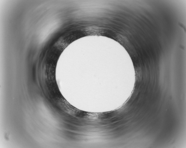 X0000101460190200808041051